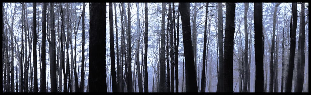 Winter Twilight